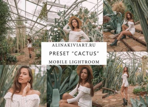 Мобильный пресет Cactus (Alina Kiviart) 2019