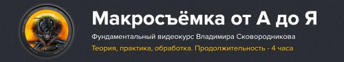 Макросъёмка от А до Я (Владимир Сковородников)
