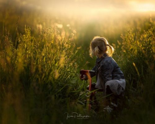Liwia in the sun (Iwona Podlasi?ska) на английском