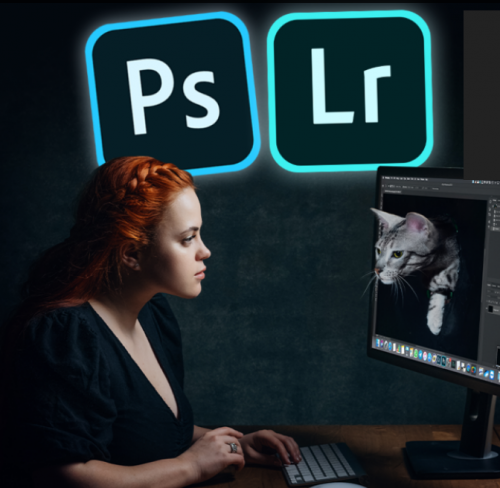 Lightroom и Photoshop. Тариф Selfmade (Дарья Булавина)