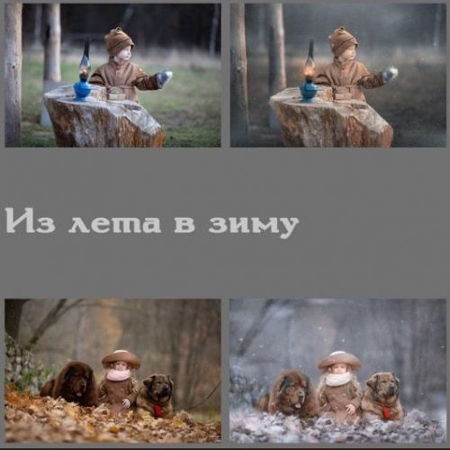 Из лета в зиму (Arma Gray)