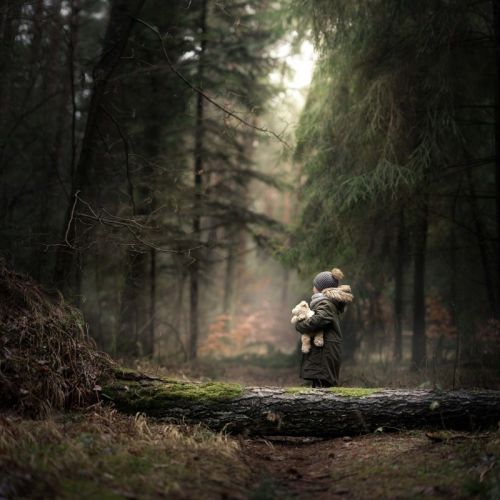 Into the forest (Iwona Podlasi?ska) на английском