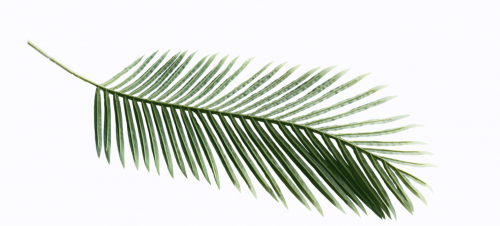 Фотография, которая взорвет твой Инстаграм (Яна Левенцева)