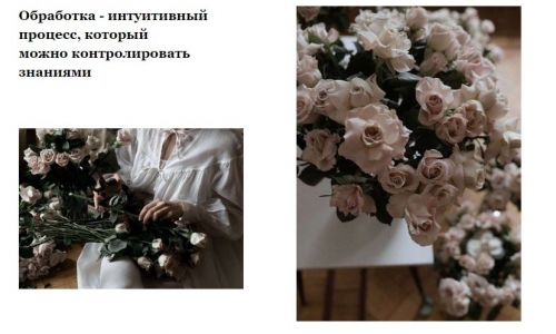 Цвет в фотографии. Урок, который. поможет найти свой цвет (Александра Бухарева)