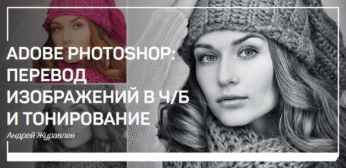 Adobe Photoshop: перевод изображений в чб и тонирование (Андрей Журавлёв)