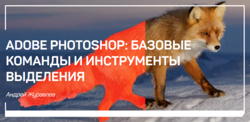 Adobe Photoshop: Базовые команды и инструменты выделения (Андрей Журавлев)