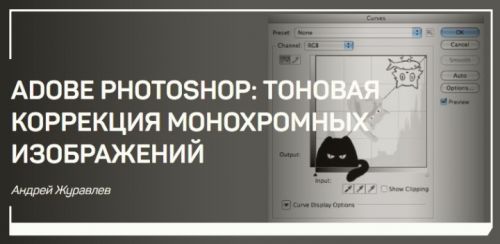 Adobe Photoshop тоновая коррекция монохромных изображений (Андрей Журавлев)