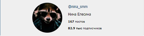Все способы успешного продвижения в Instagram (Нина Елесина)