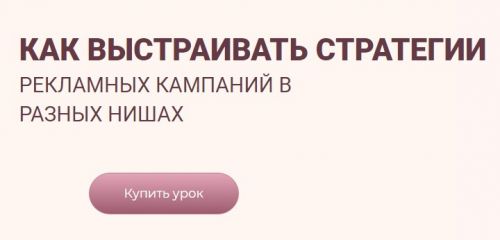 Как выстраивать стратегии рекламных кампаний в разных нишах (Лилия Жаркова)