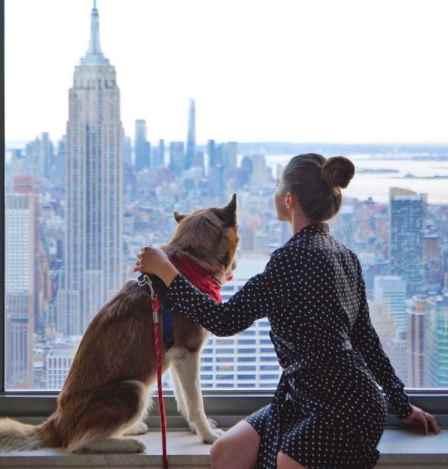 Инстраграм: фотография, продвижение, копирайтинг 2018 (Ирина Голдман)