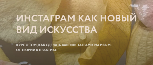 Инстаграм как новый вид искусства. Тариф Эконом (Полина Дзенис)