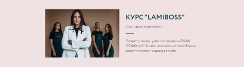[Wow berry academy] LamiBoss. Тариф 'Базовый' (Виктория Захарова)