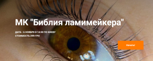 [BrowIt] Библия ламимейкера (Анна Ромашенко)