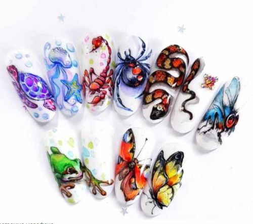 Мир насекомых ( Лилия Нигматуллина @liliya_nigmatullina)