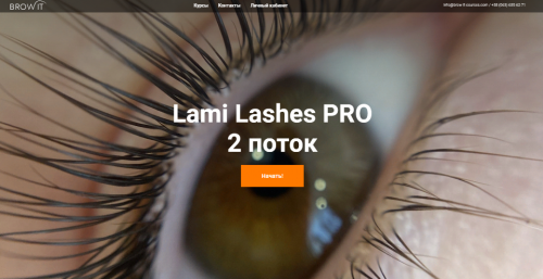 Lami Lashes Pro 2 поток. Тариф Стандартный+ (Ann_Romashka)