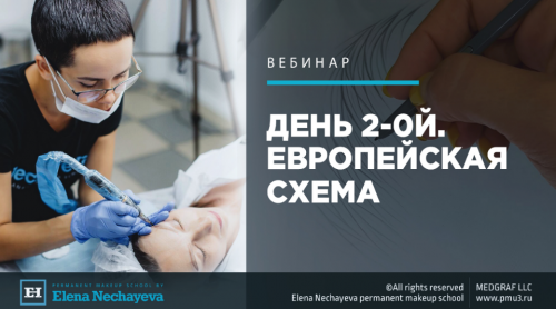 День 2-ой. Волосок. Европейская схема (Елена Нечаева)