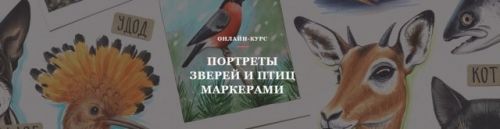 [Volha school] Портреты зверей и птиц маркерами (Volha Sakovich)