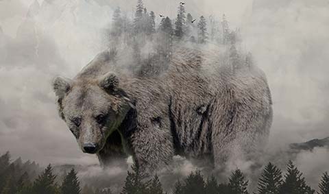 [школа Юниверс] Adobe Photoshop СС. Инструменты дизайнера (Александр Сераков, Инара Агапова)