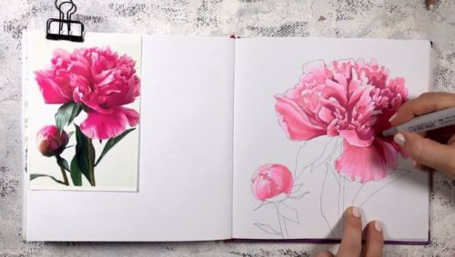 [Скетчинг маркерами] Видеоурок «Пион» (Любовь Дрюма)