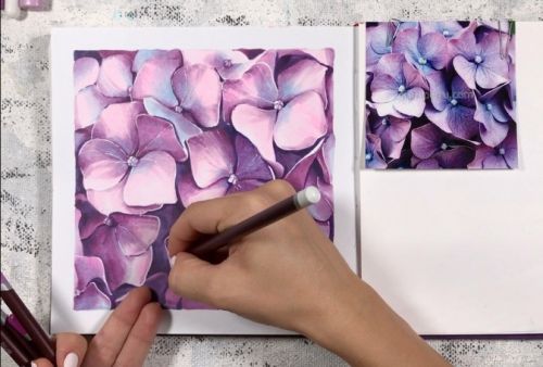 [Скетчинг маркерами] Видеоурок «Гортензия» (Любовь Дрюма)