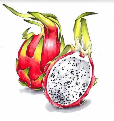 [Lubov Druma Art School] Видеоурок «Драгонфрут» (Любовь Дрюма)