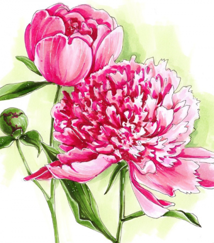 [Lubov Druma Art School] Мини-курс маркерами «Ботаника» (Любовь Дрюма)