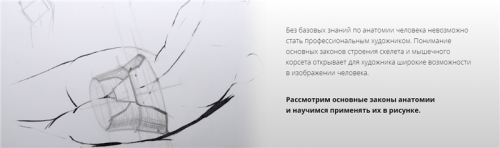 [kalachevaschool] Рисуем человека. Анатомия. Сентябрь 2019 (Дарья Остапенко)