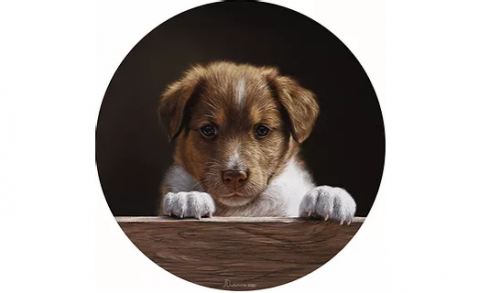 [JD Art School] Щенок (Юлия Дубинина)