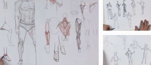 [Enterclass] Основы анатомии. Курс по рисованию фигуры человека (Лев Каплан)