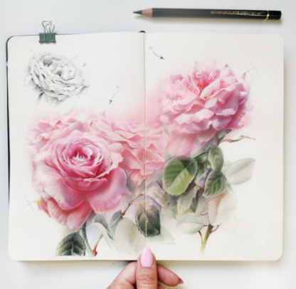 [draw team] Розы цветными карандашами и в смешанной технике (Евгения Щеглова)