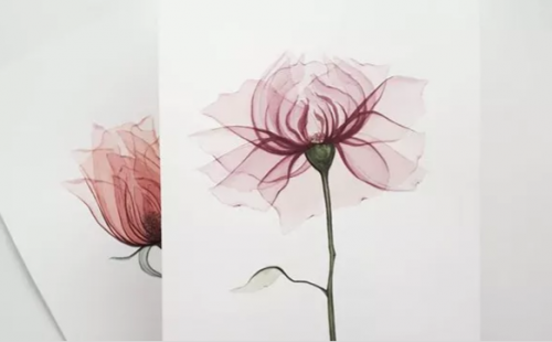 Прозрачные цветы Тариф «Один видео урок». Пятый урок Роза (Ирина Толчина)