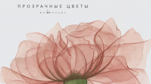 Прозрачные цветы (Ирина Толчина)