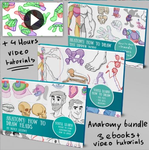 Полный комплект по рисованию анатомии / Anatomy complete bundle (Mitch Leeuwe)