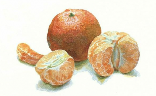 Идеальная палитра. Тариф Самостоятельный (Маша Васильева)