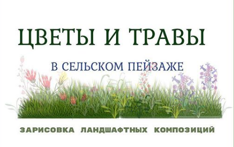 Цветники и травы (Екатерина Като Иванникова)