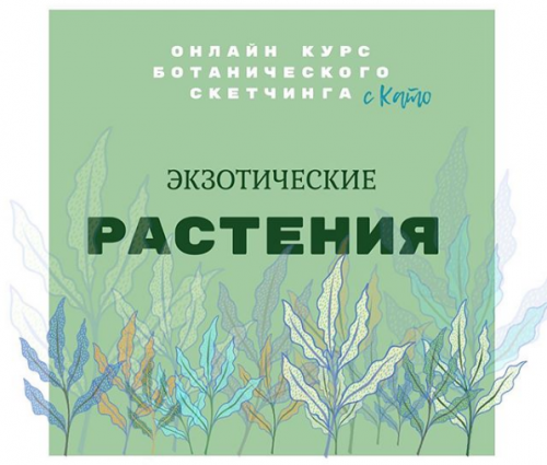 Ботанический скетчинг «Экзотические цветы» (Екатерина Kato Иванникова)