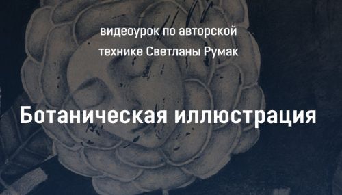 Ботаническая иллюстрация (Светлана Румак)