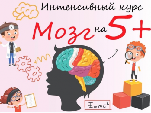 [yeartoschool] Интенсивный курс 'Мозг на 5+' (Корнышева Наталья Алексеена)