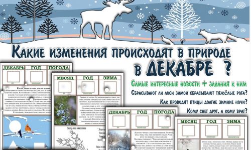 [Увлекательное обучение] Интерактивные Лесные газеты. Декабрь (Солдатова Елена)