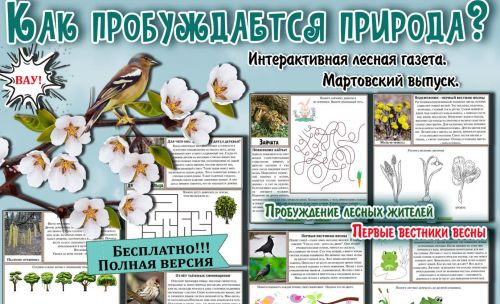 [Увлекательное обучение] Интерактивная Лесная газета. Мартовский выпуск Как пробуждается природа (Солдатова Елена)