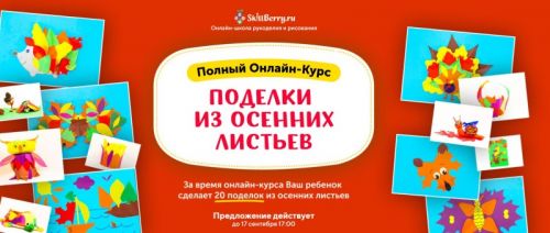 [Skillberry] Поделки из осенних листьев