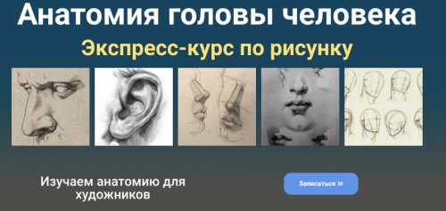 [ZartSchool] Анатомия головы человека (Татьяна Зубова)