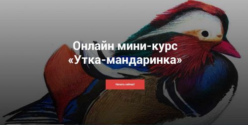[Kalacheva School] Мини-курс «Утка-мандаринка» (Евгения Мельникова)