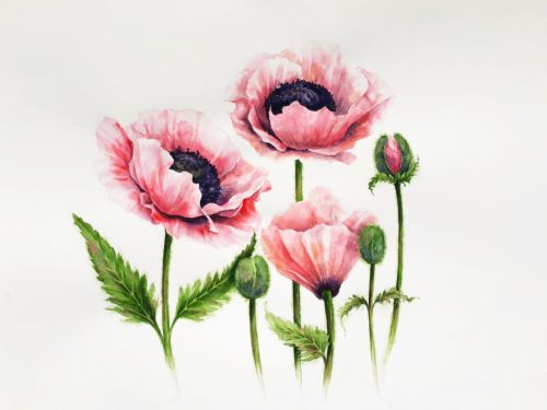 Весенние цветы (Ксения Галицкая)