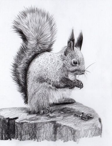 Уроки рисования карандашом (Юрий Синчуков)