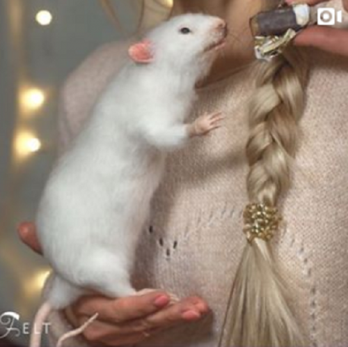 [Игрушки] Реалистичная крыса из шерсти (katerinasosina)