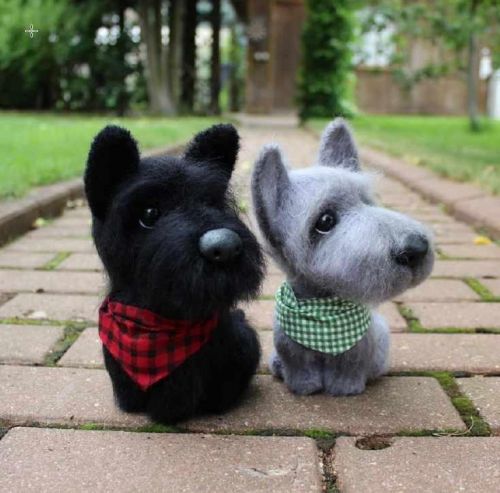 [Игрушка] Мастер класс - скотч - терьер «Чарли»( Юлия Оголь)