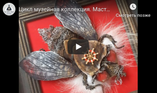 Жук-голиаф Goliathus goliatus. Музейная Коллекция. Экспонат №?2 (Анастасия Голенева)