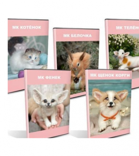 Набор из 5-ти мастер-классов (Екатерина Сосина)