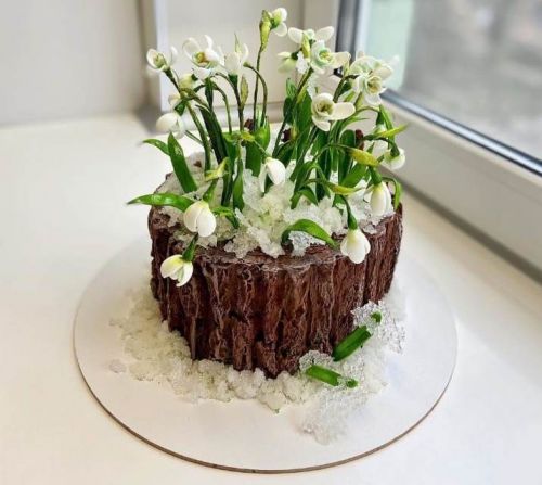 [Dolnyk Art Cake] Торт «Пенек с подснежниками» (Кристина Дольник)